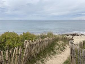 IMG_5988.jpg