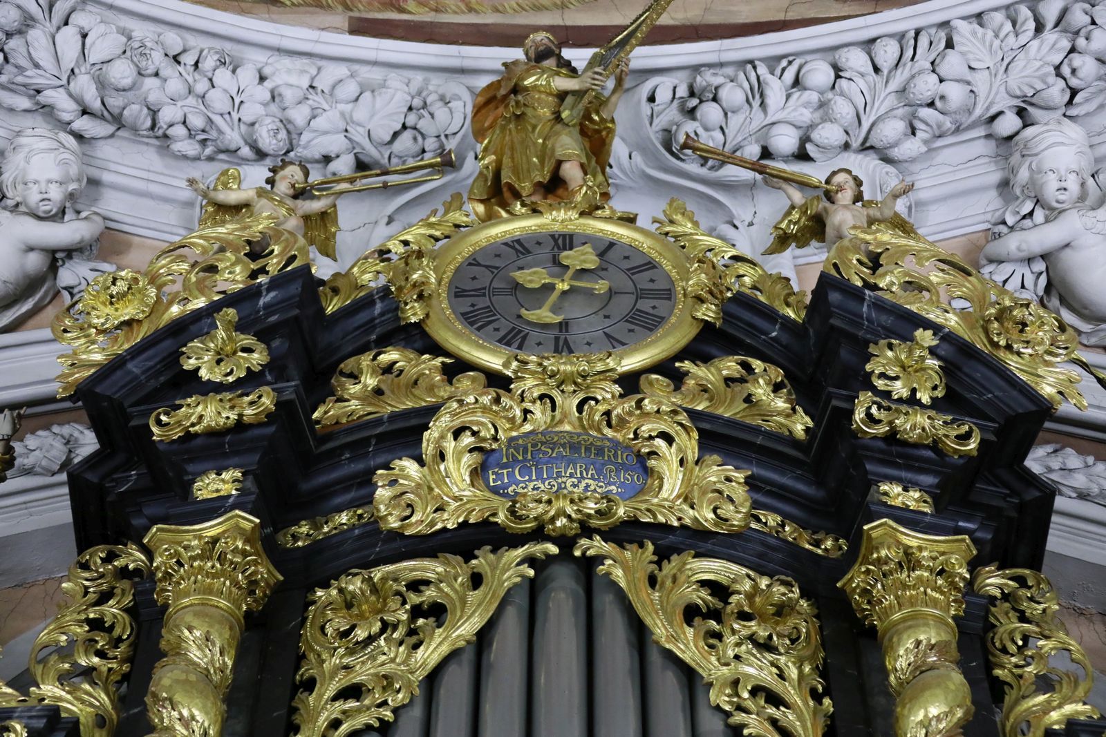 Weih_11-12-19_003.jpg