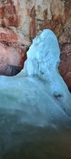 IMG_20250624_110804.jpg