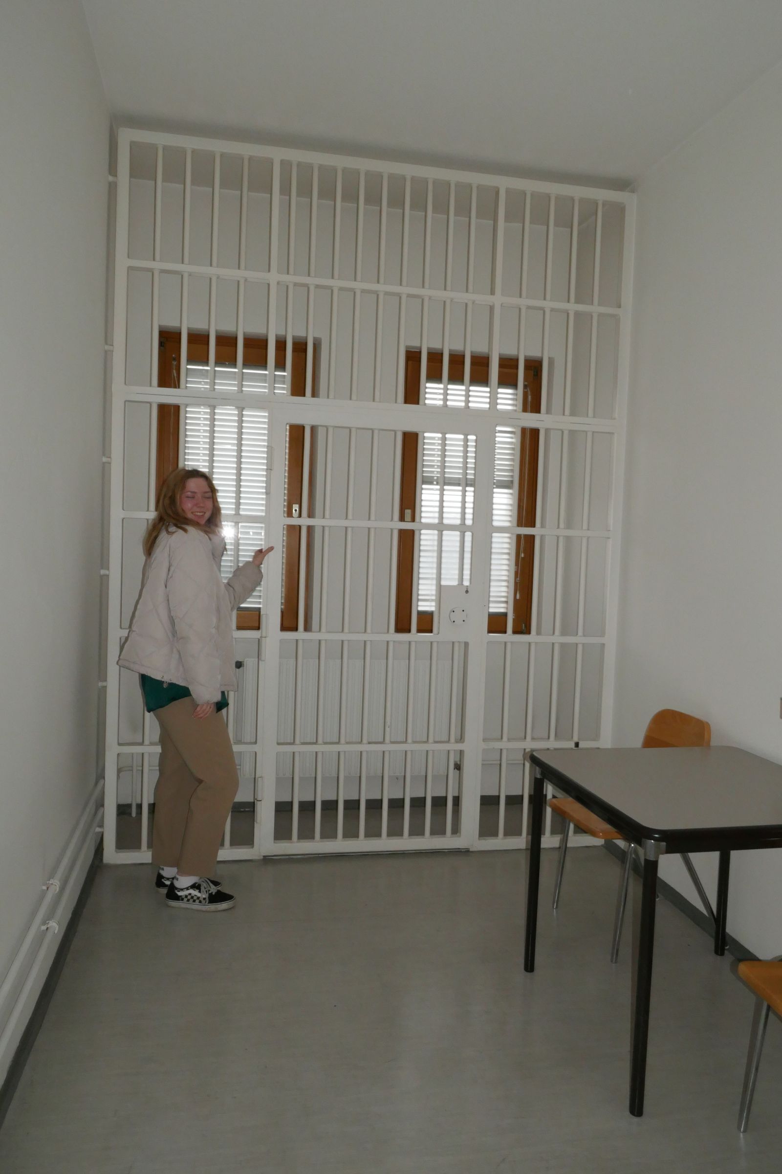 gericht_steyr_hgk7_05.jpg