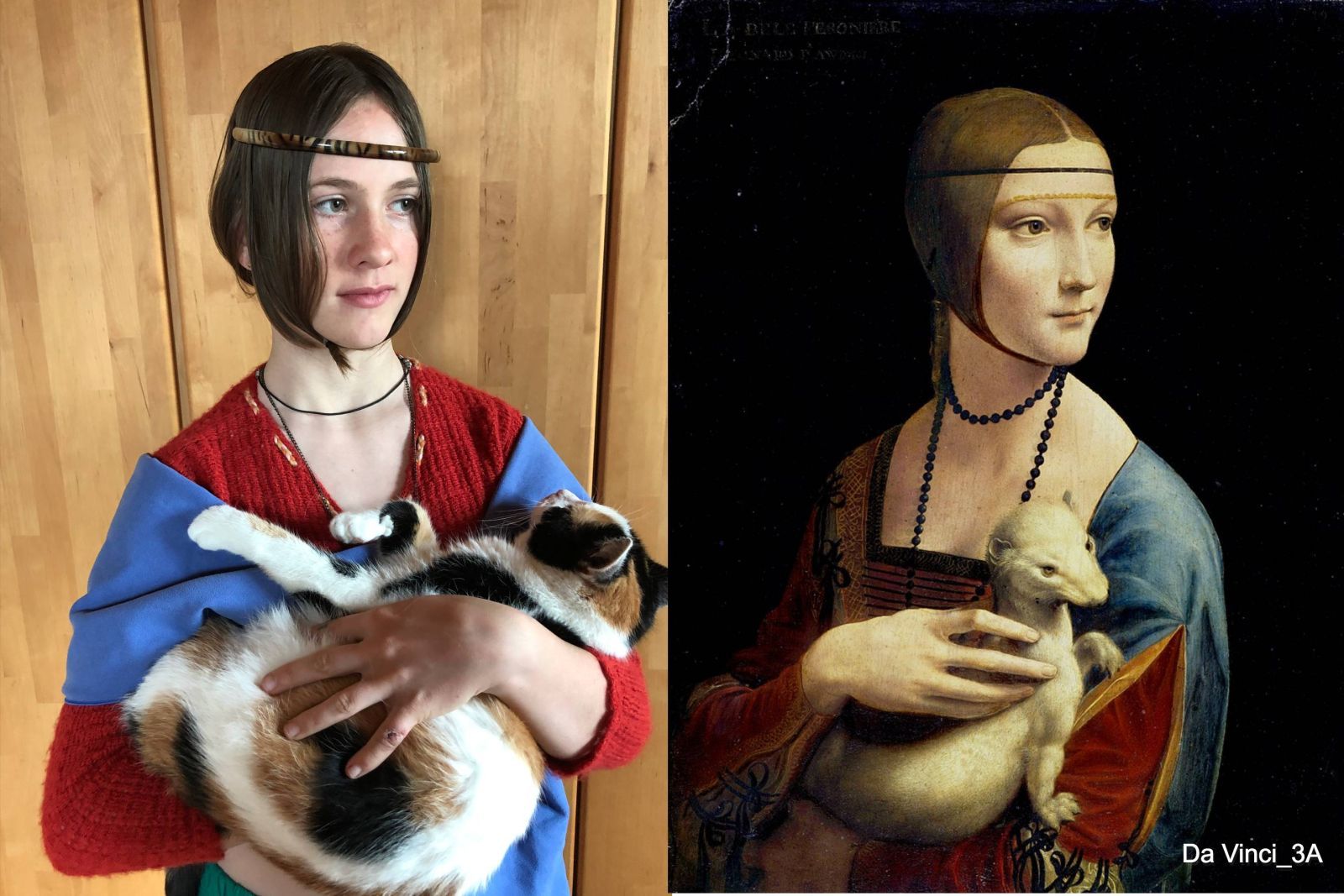 42_DaVinci_3A.jpg