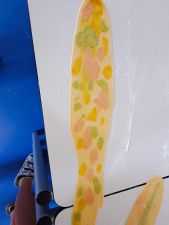IMG_20250630_093112.jpg