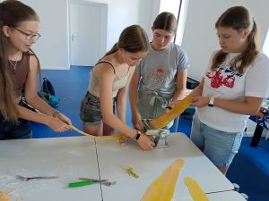 IMG_20250630_103738.jpg