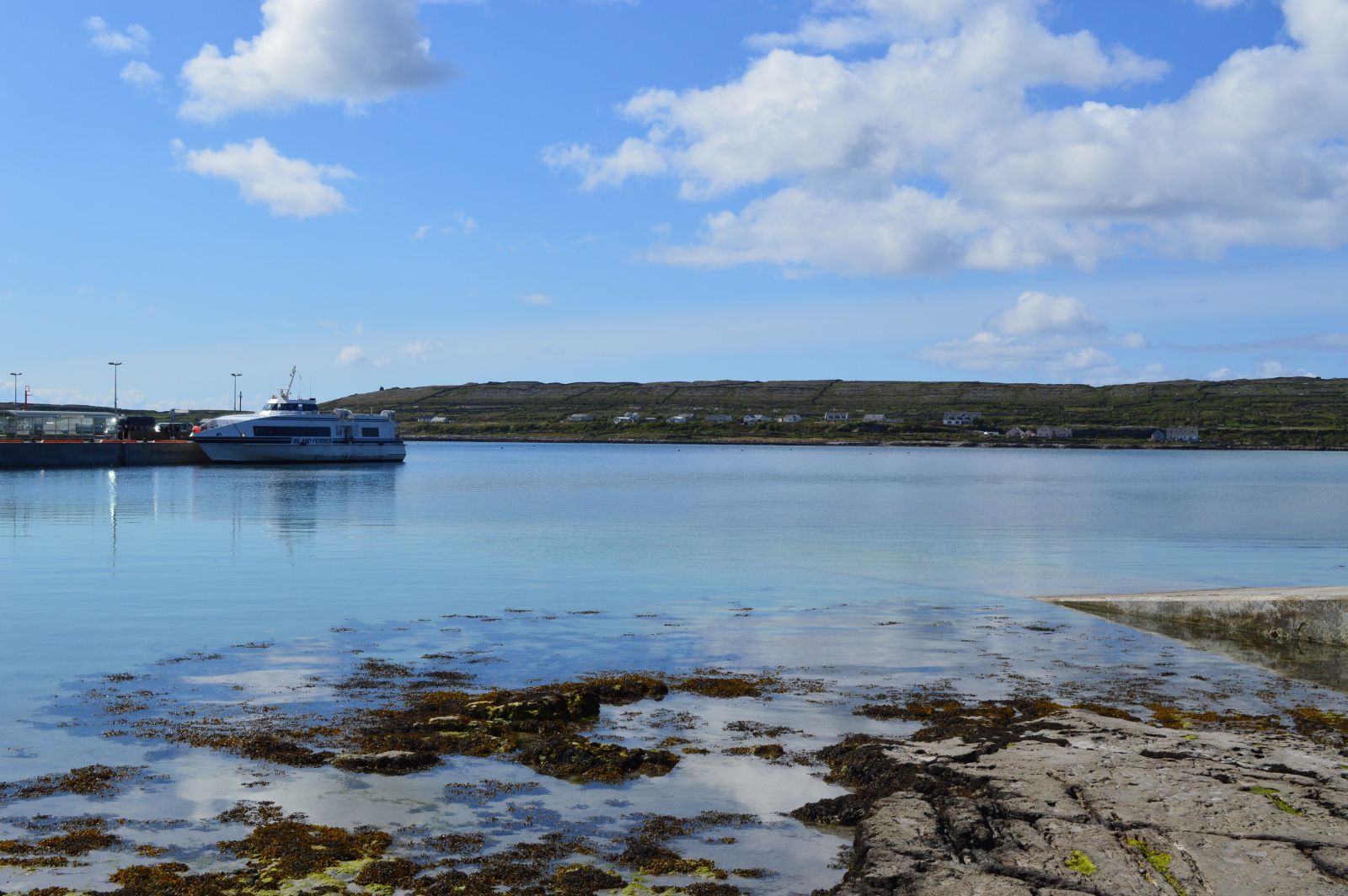 DSC_0423.jpg