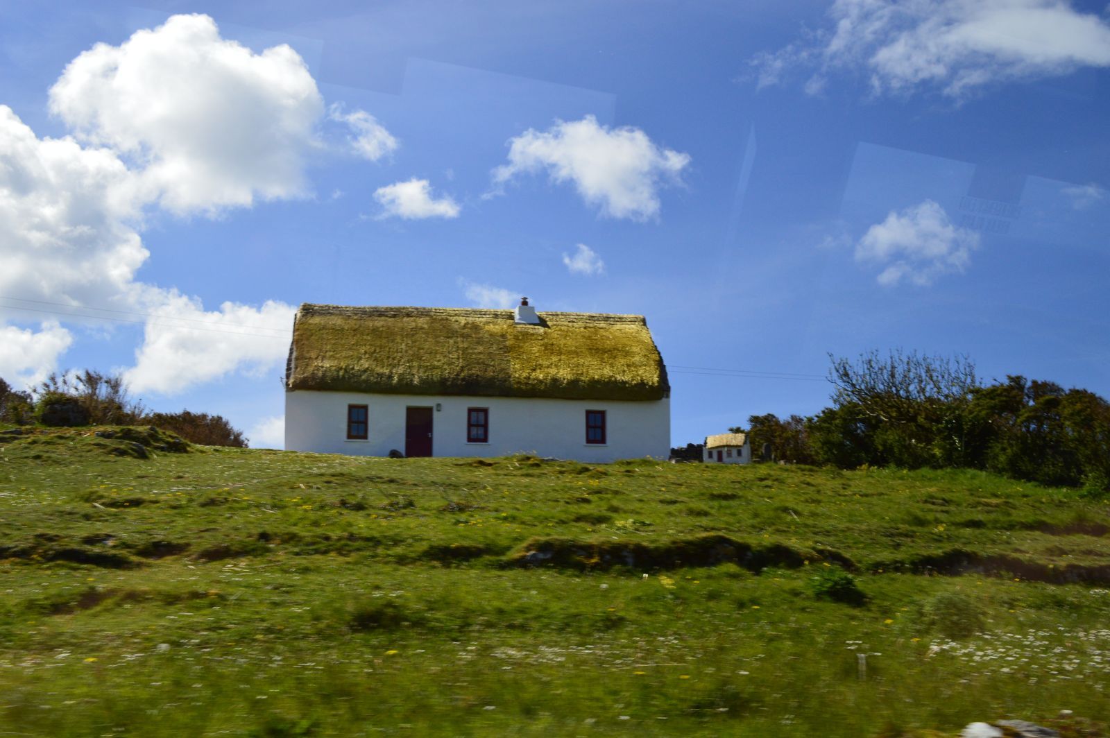 DSC_0439.jpg