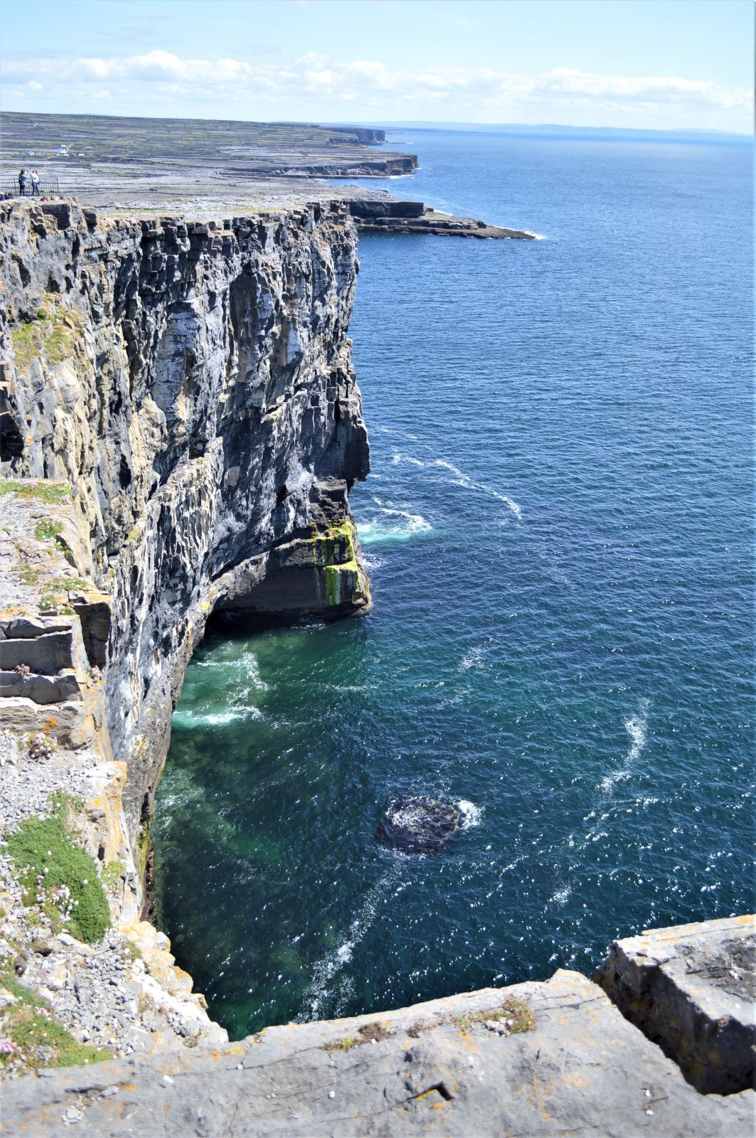 DSC_0506.jpg