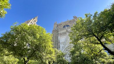 IMG_1548.jpg
