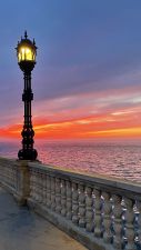 IMG_1806.jpg