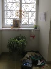IMG_5732.jpg