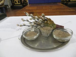 IMG_5872.jpg