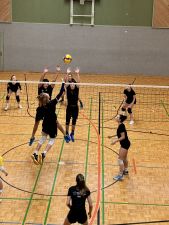 IMG_9424.jpg