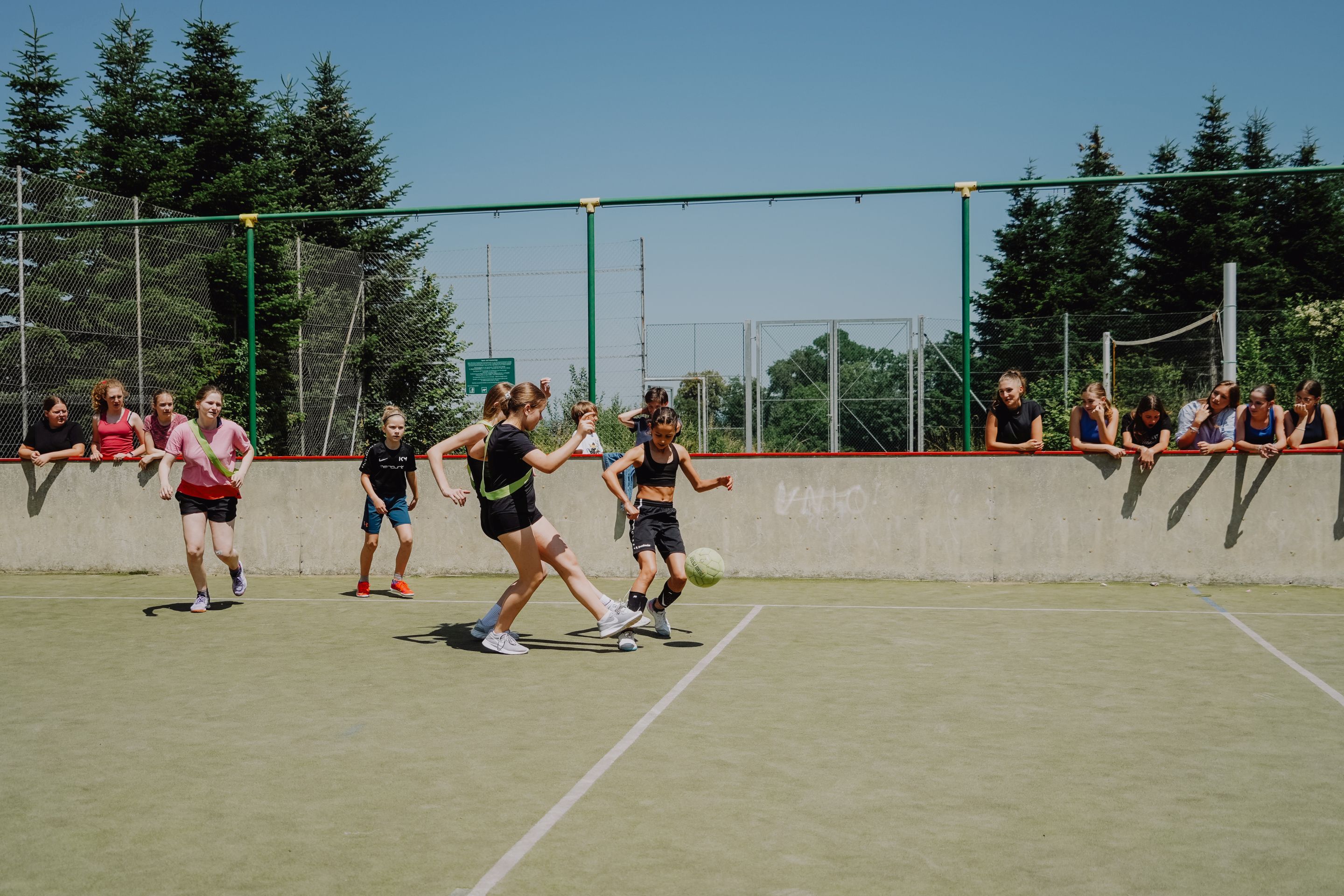 dsc07954.jpg