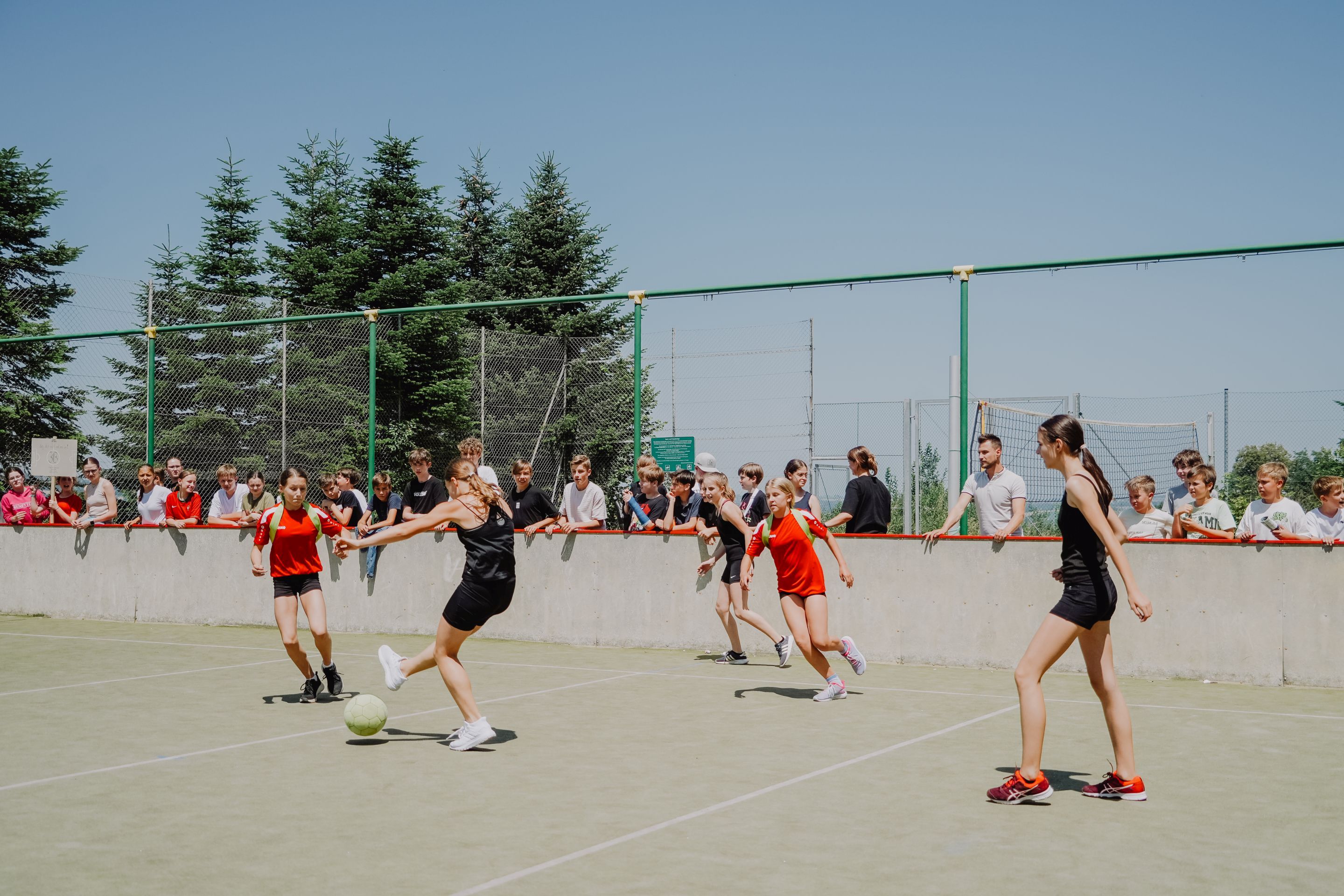 dsc07980.jpg