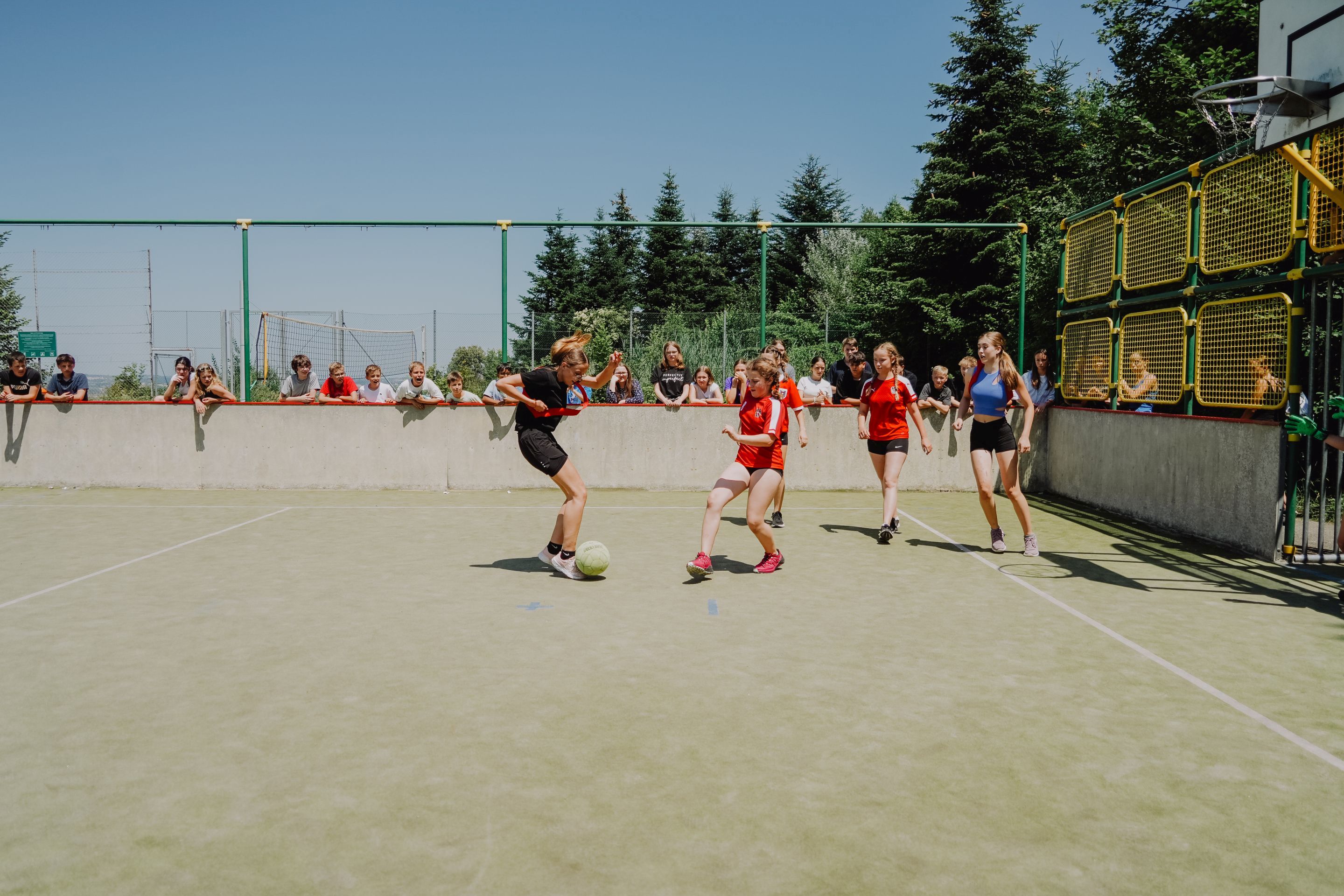 dsc08004.jpg