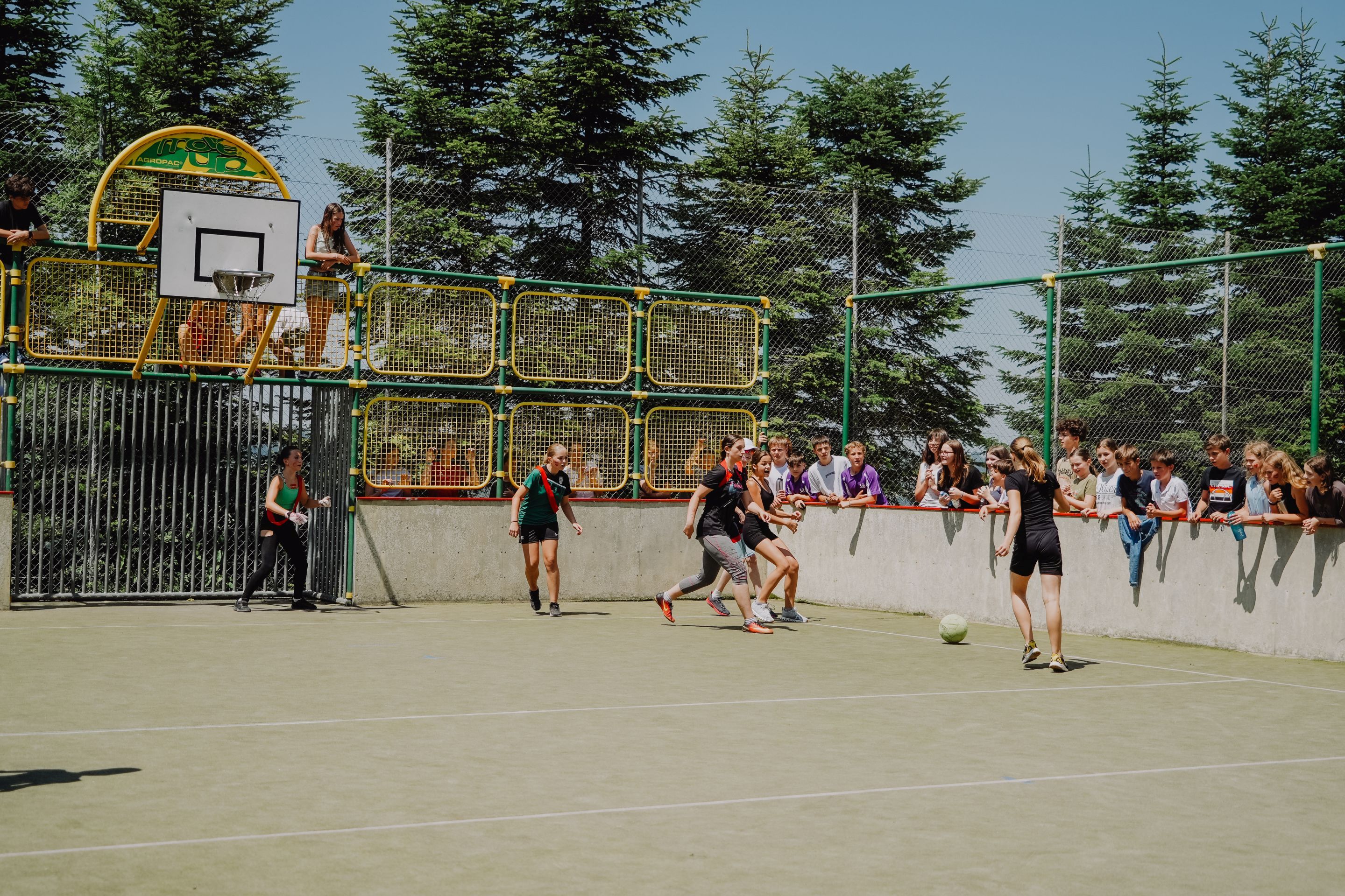 dsc08037.jpg