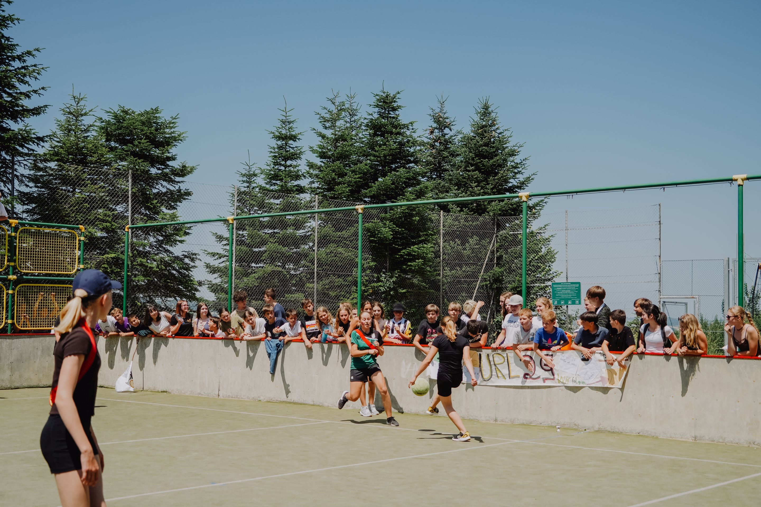 dsc08042.jpg