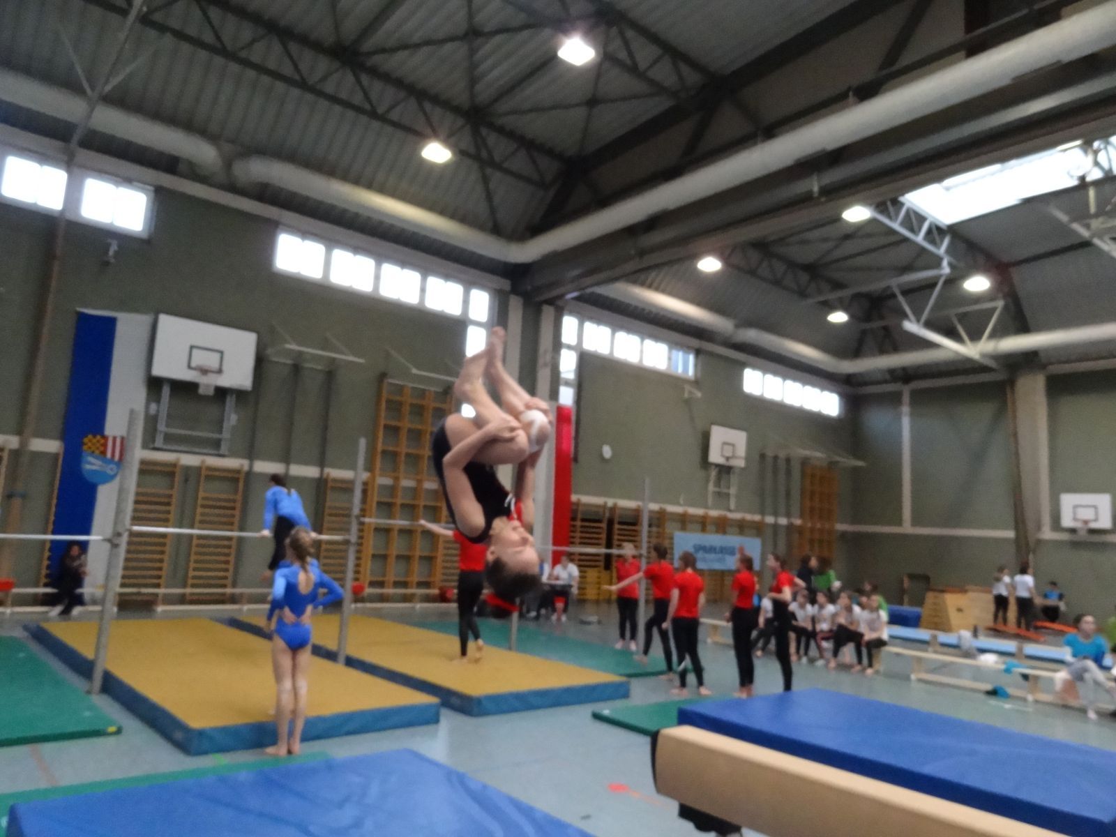 DSC07145.jpg