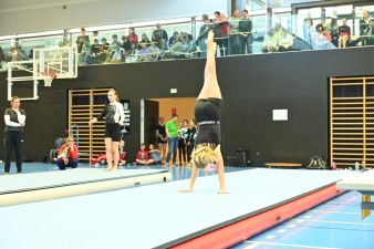 DSC_5372.jpg