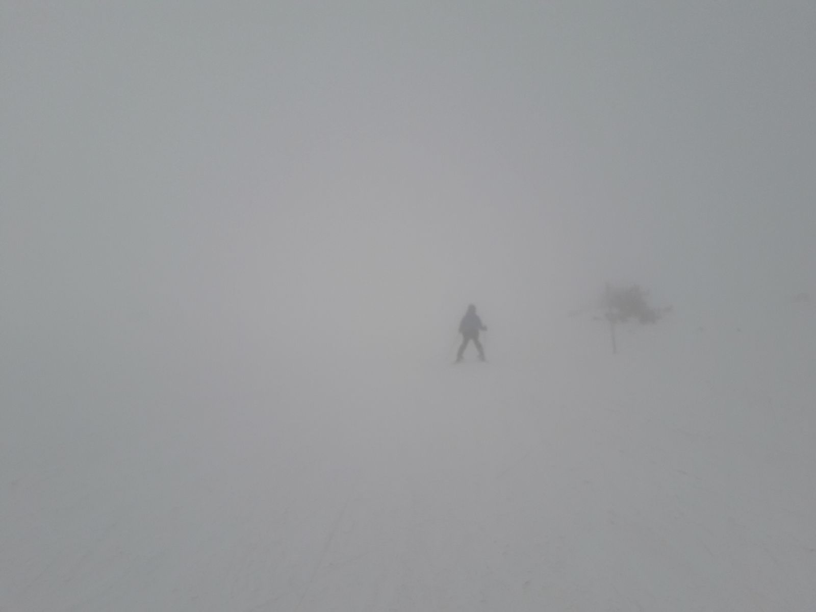 20220316_152706.jpg