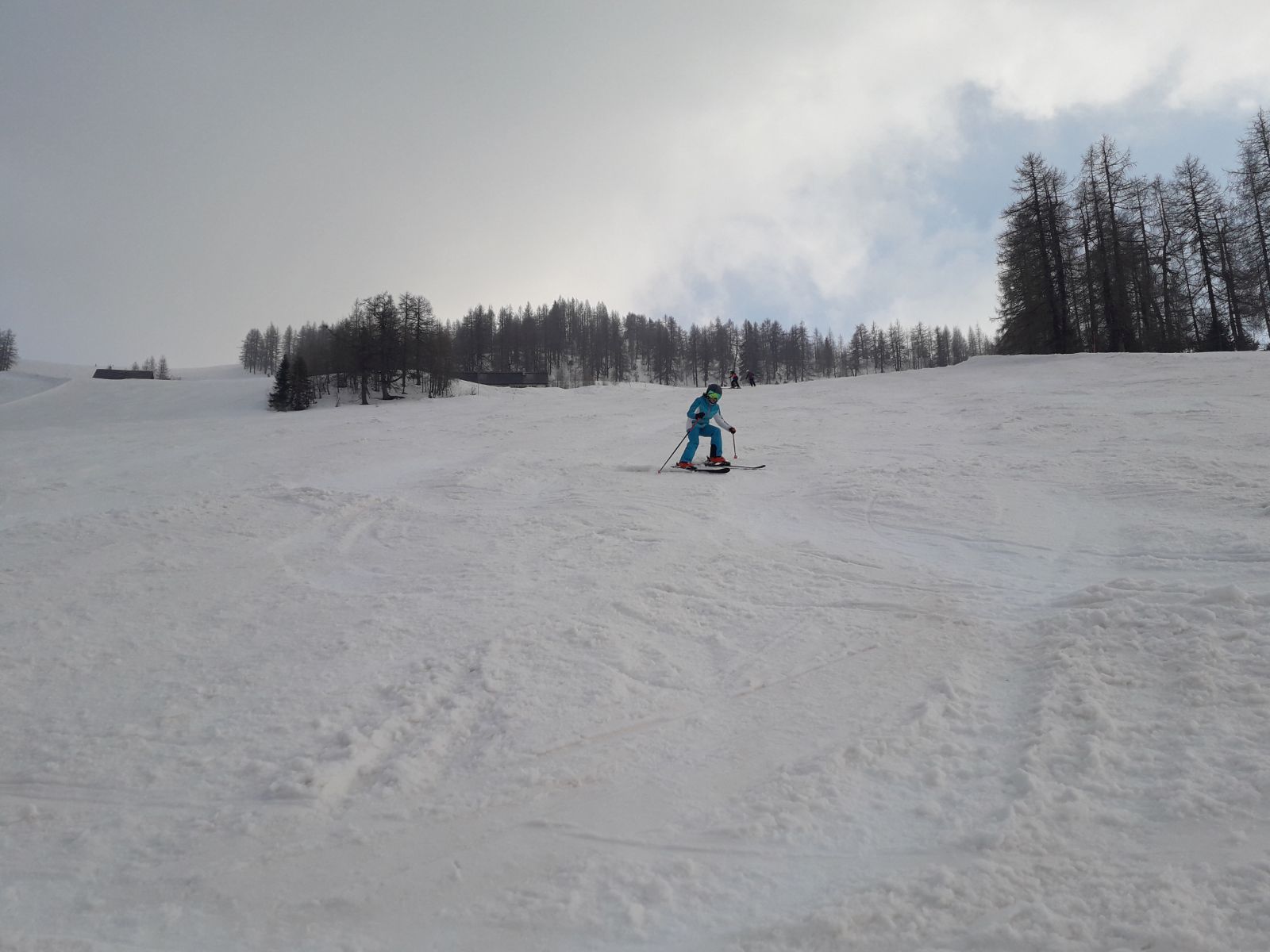20220316_155406.jpg