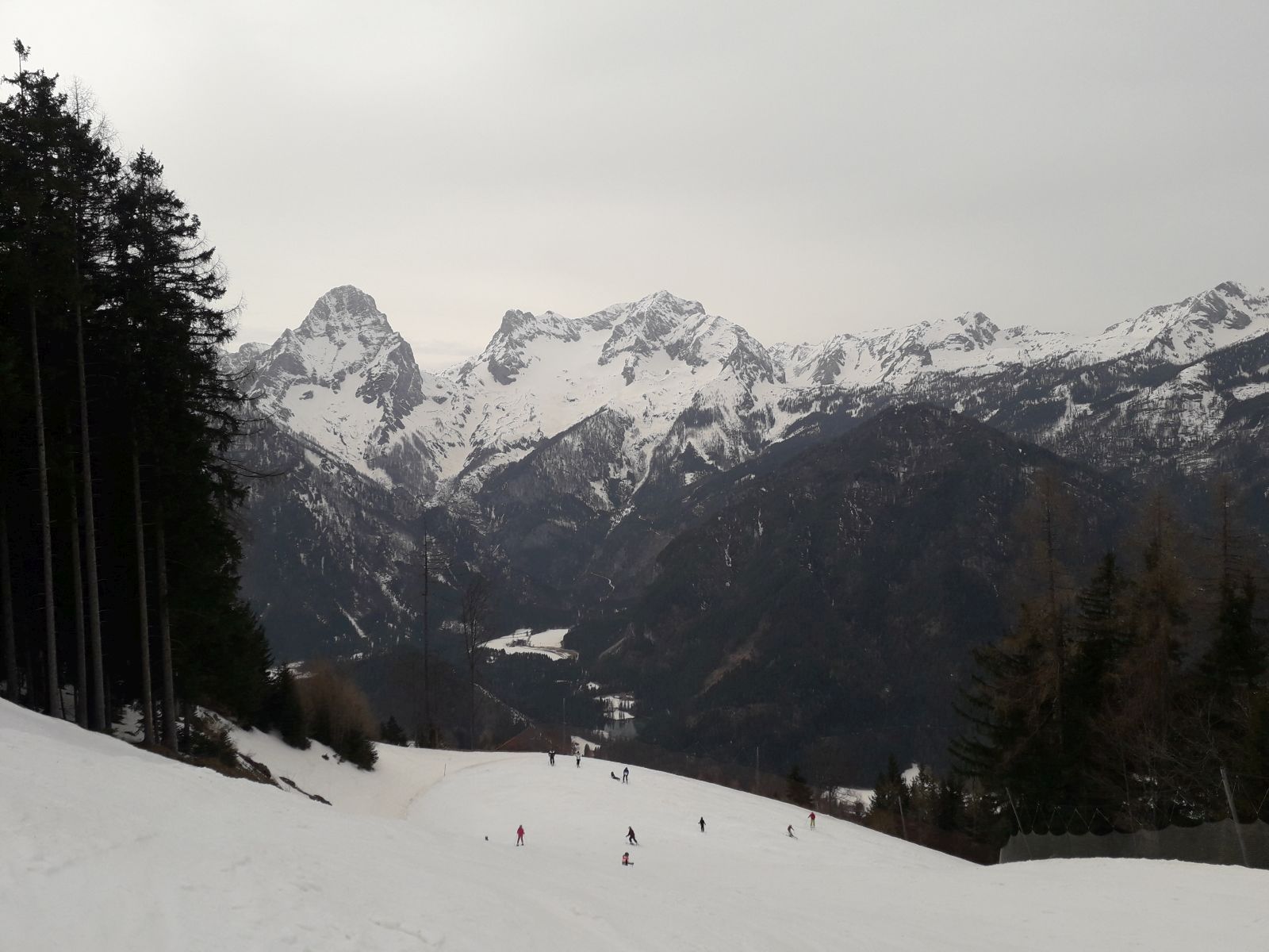 20220317_161331.jpg