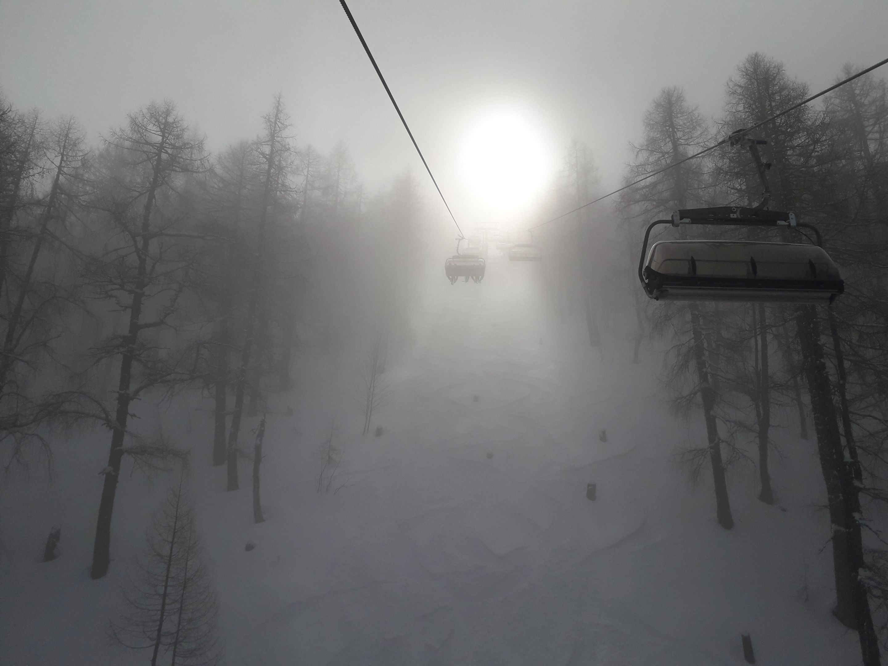 20240313_104048.jpg