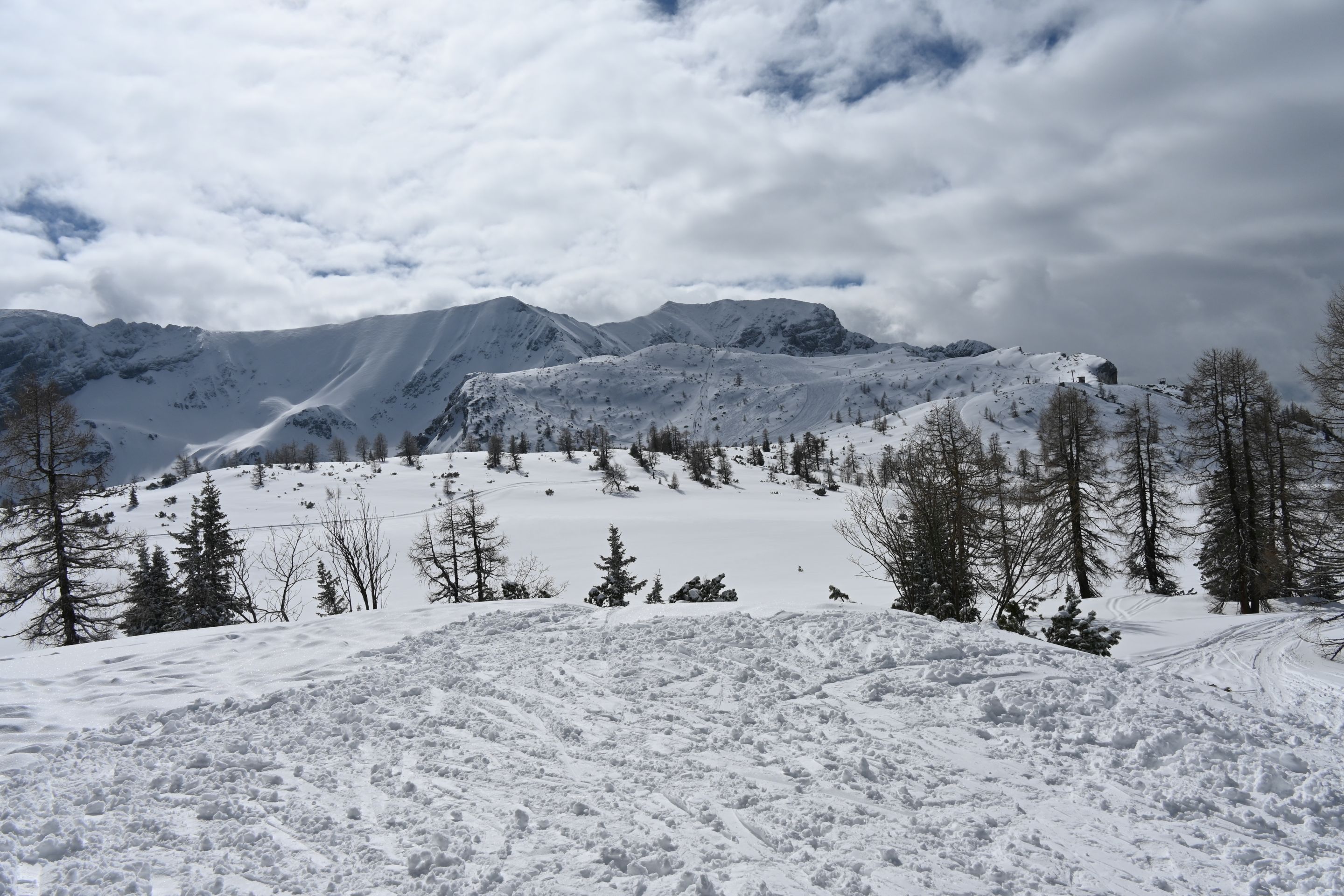 dsc_2494.jpg
