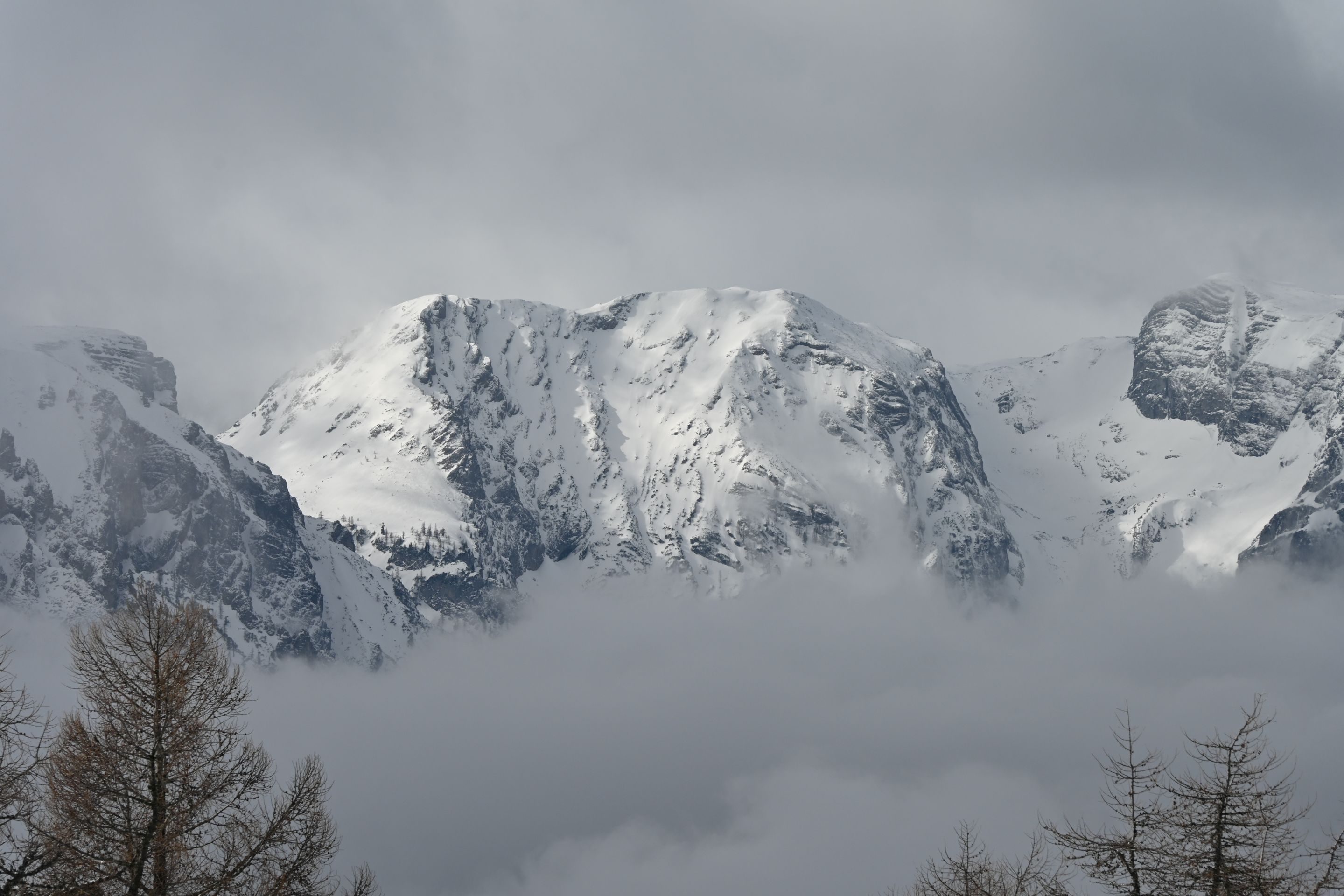 dsc_2497.jpg
