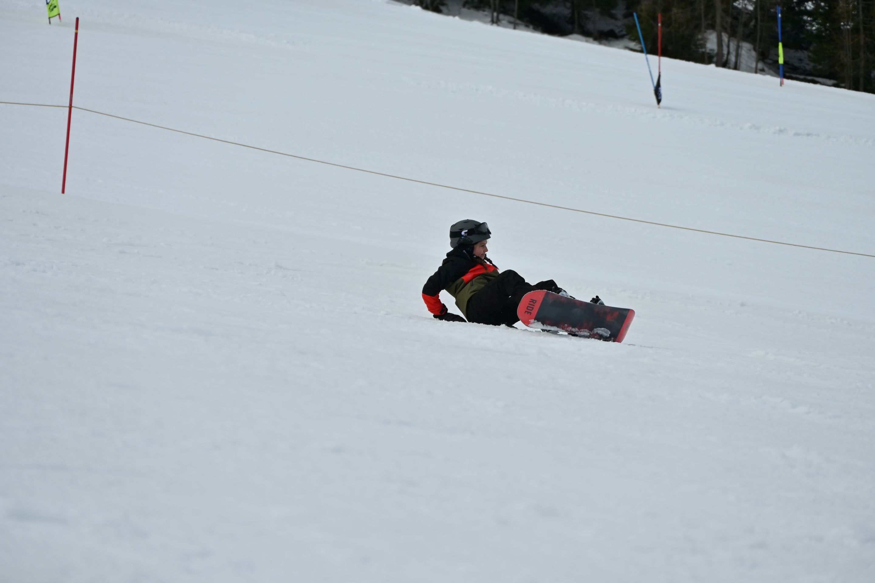 dsc_2528.jpg