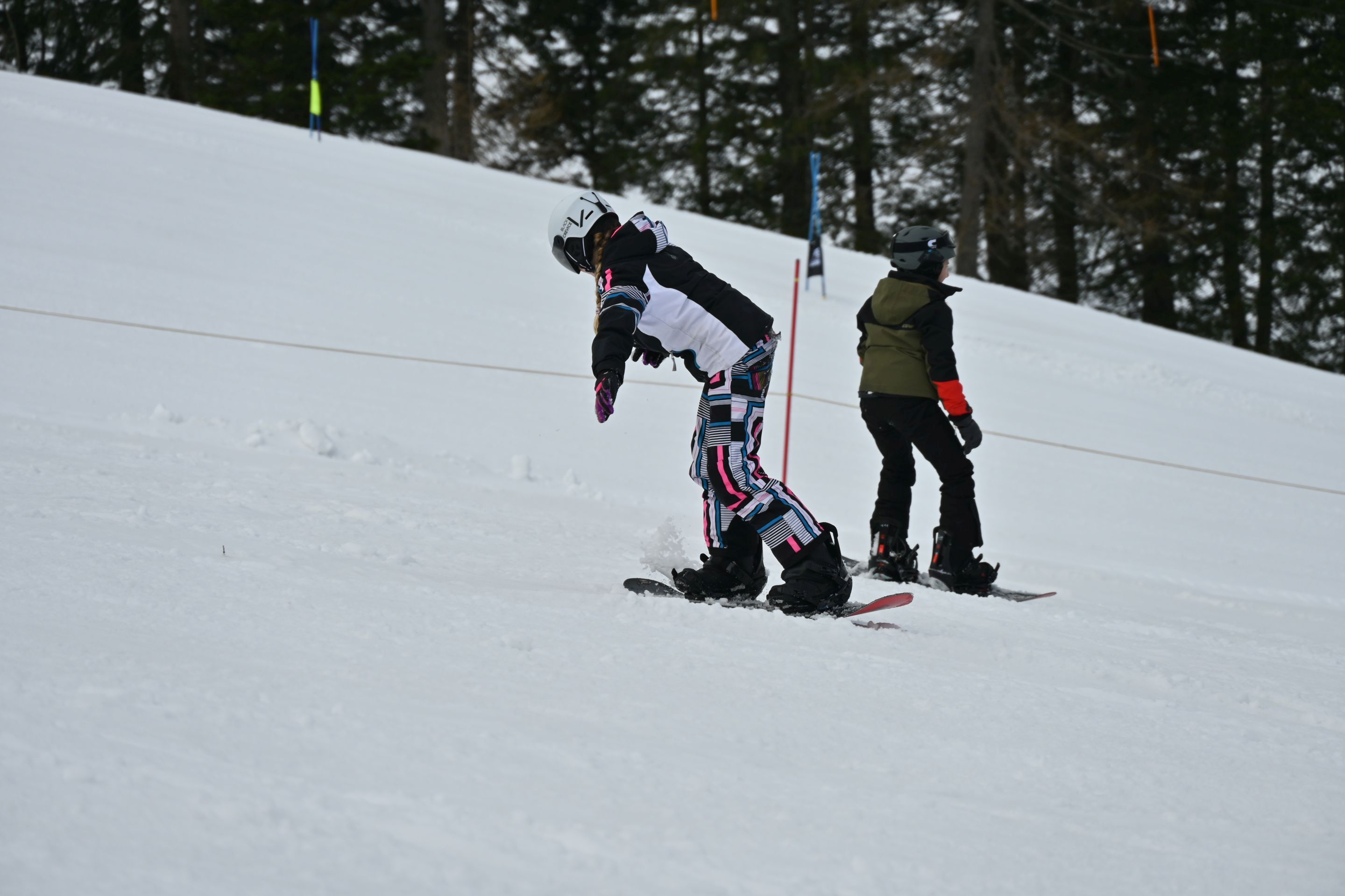 dsc_2529.jpg