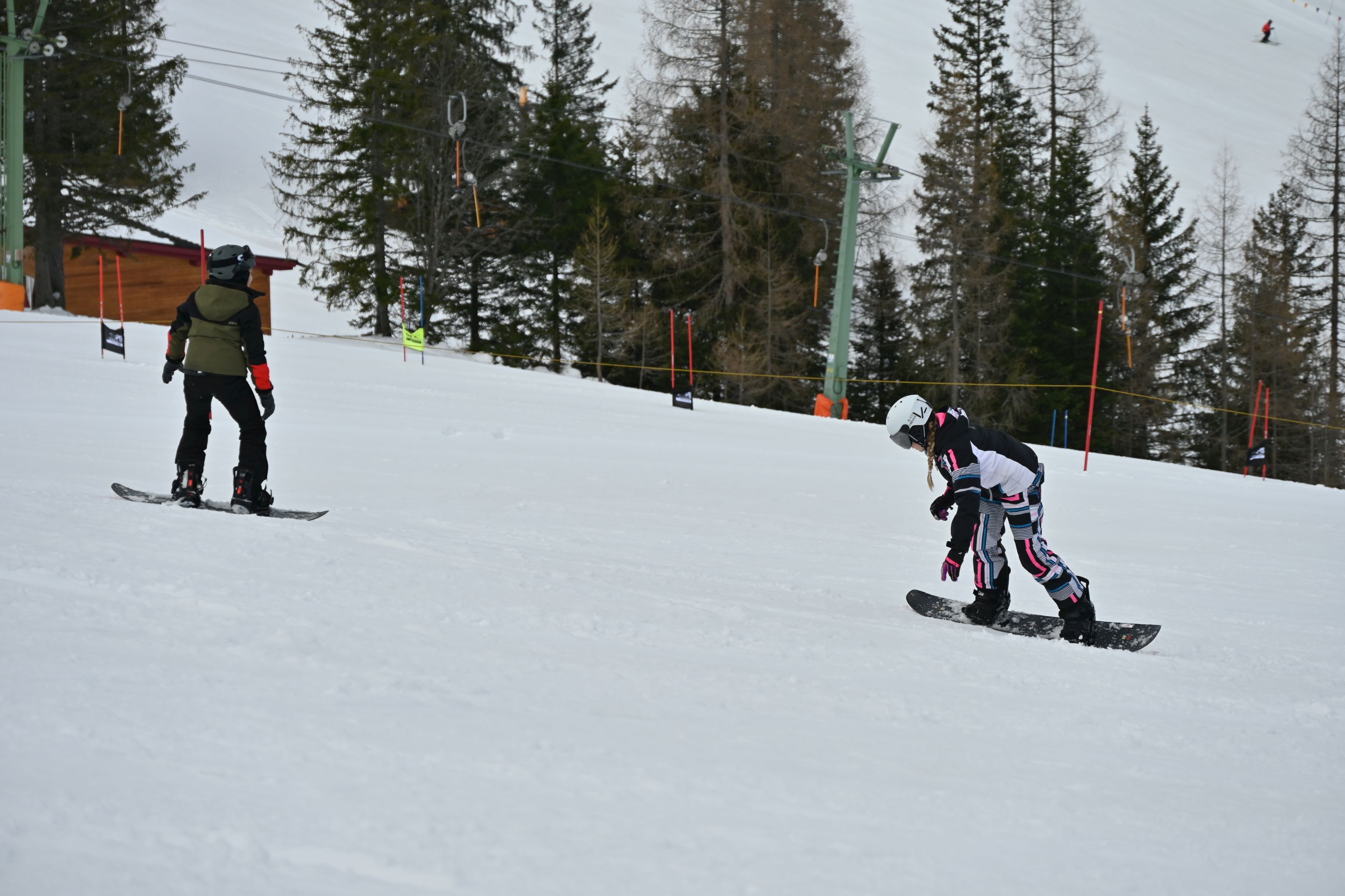 dsc_2530.jpg