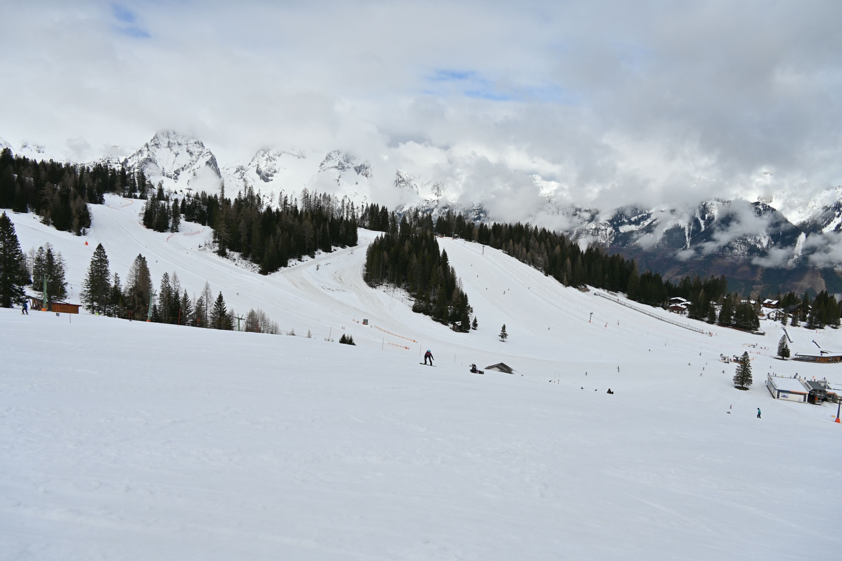 dsc_2531.jpg