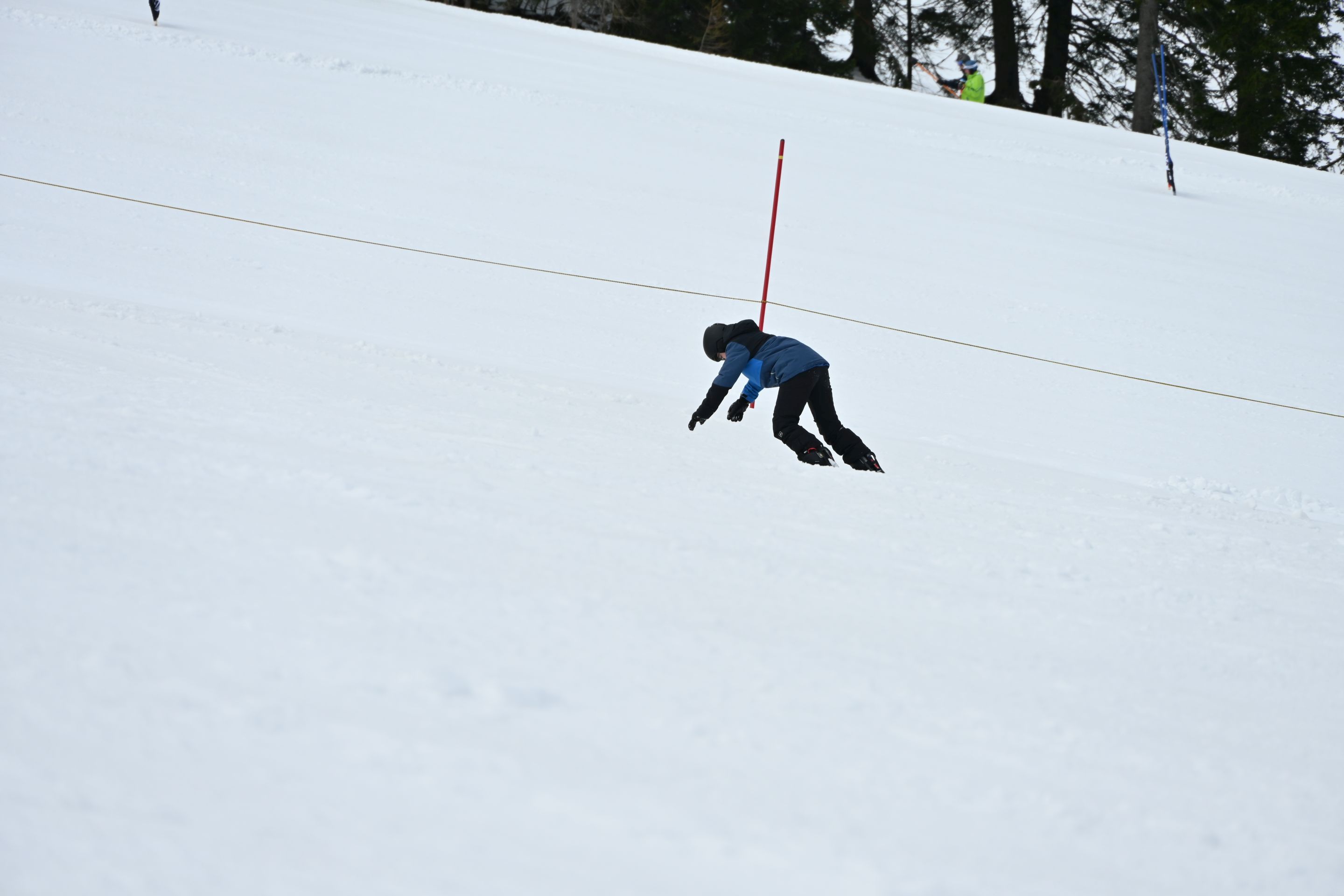 dsc_2532.jpg