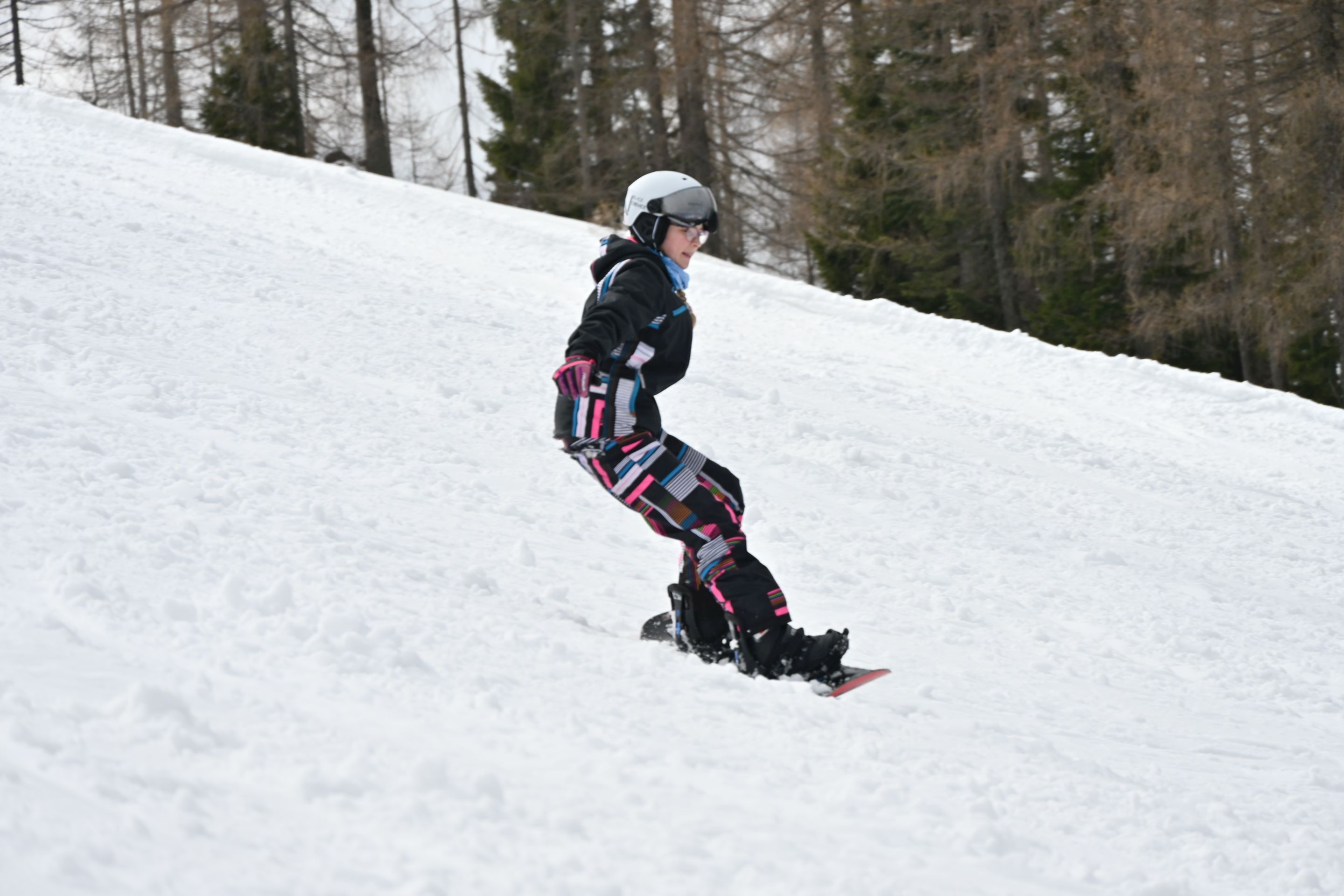 dsc_2537.jpg
