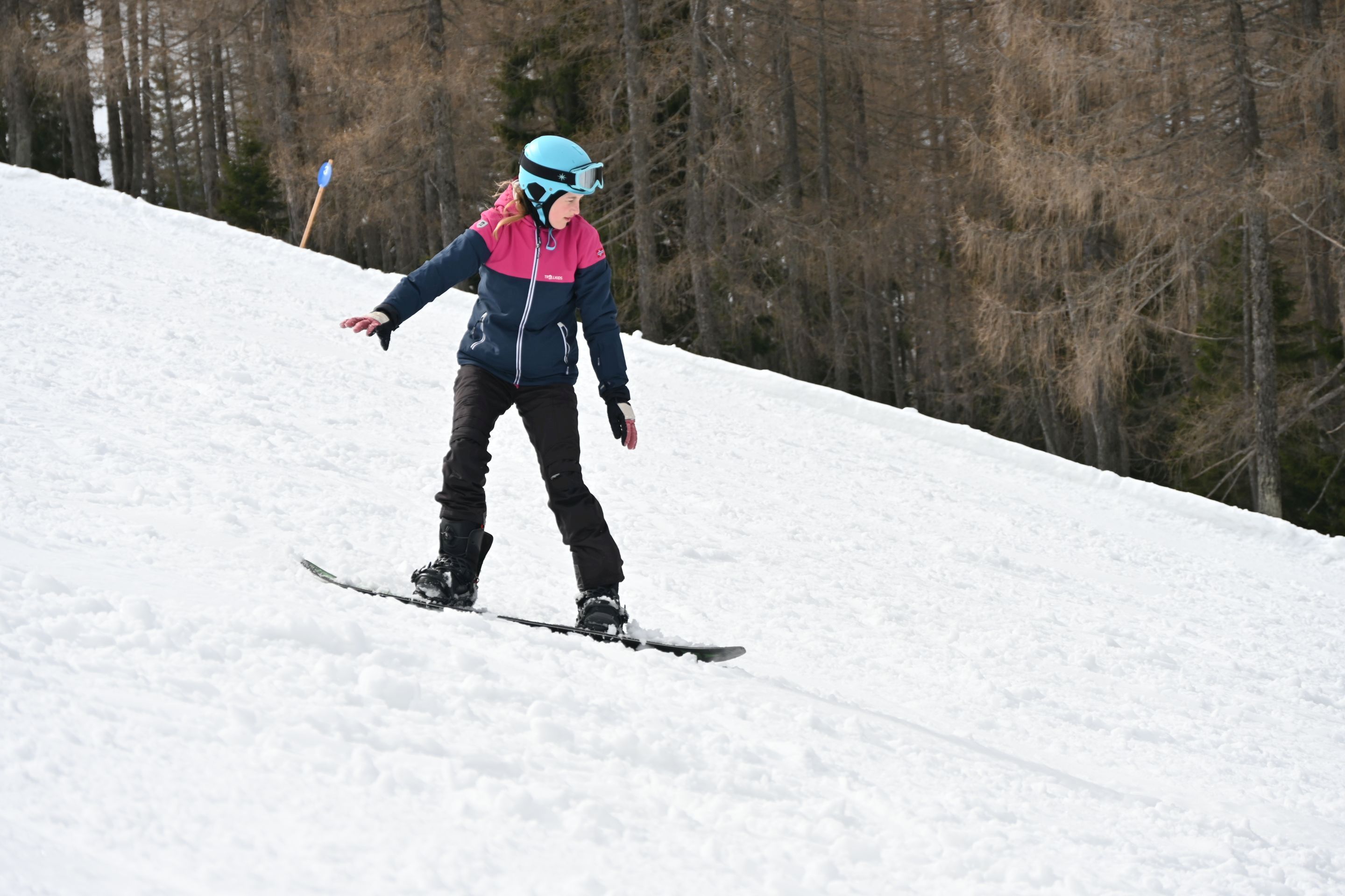 dsc_2540.jpg